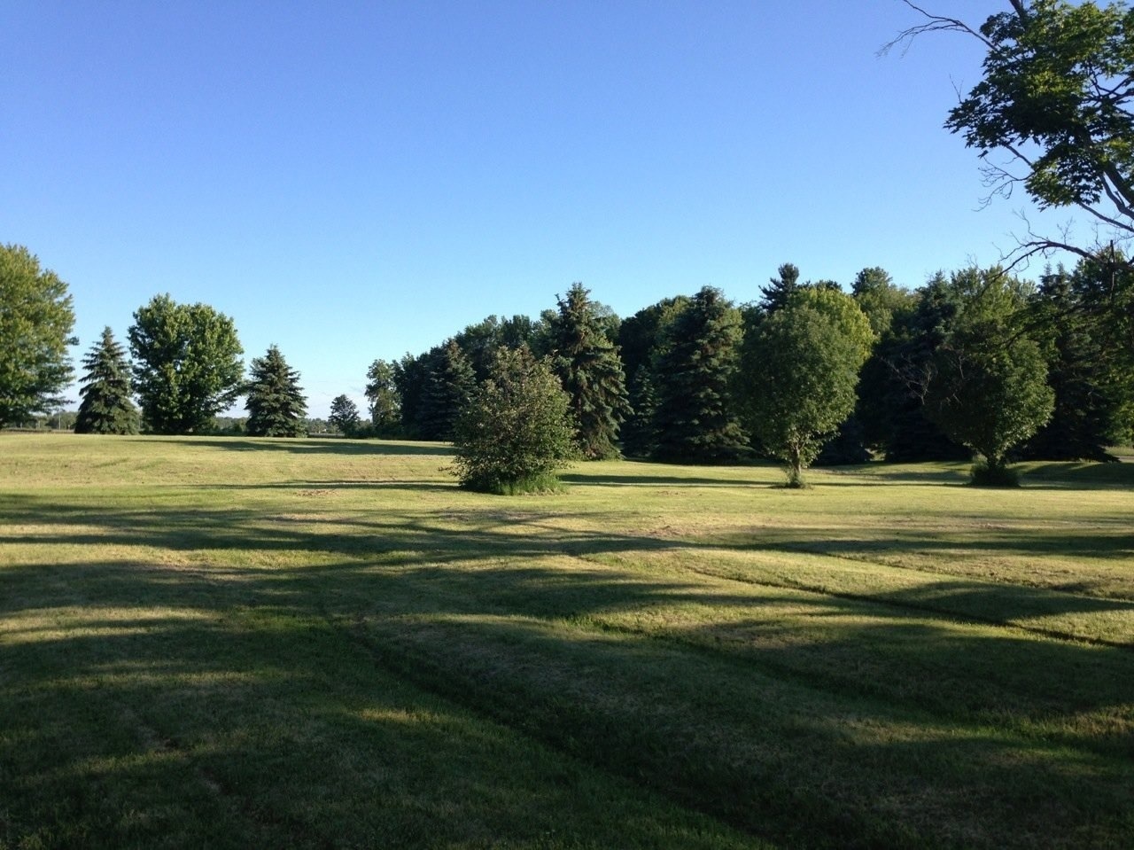 Yard